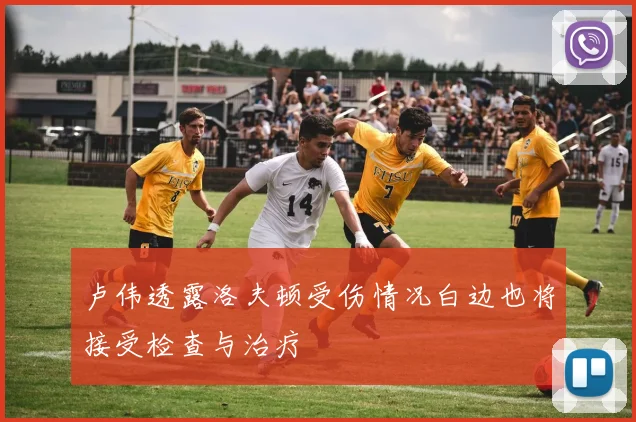 卢伟透露洛夫顿受伤情况白边也将接受检查与治疗