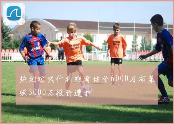 热刺对武什科维奇估价6000万布莱顿3000万报价遭拒